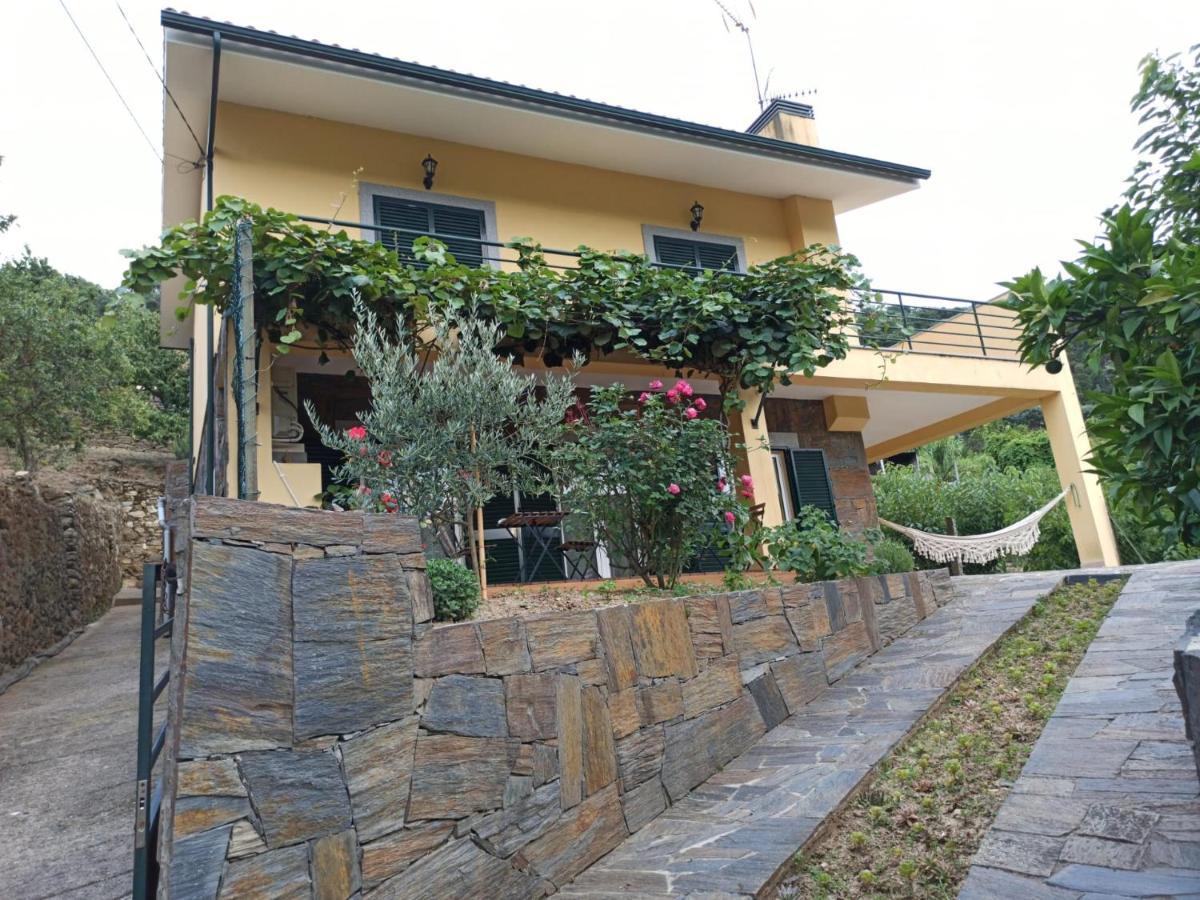 Vineyards Valley House Penajoia Exteriér fotografie