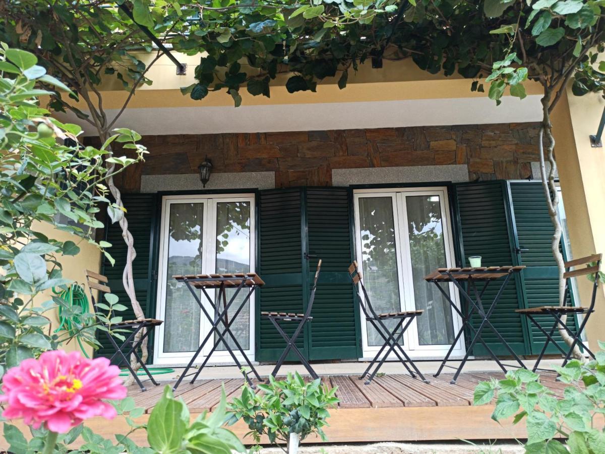 Vineyards Valley House Penajoia Exteriér fotografie