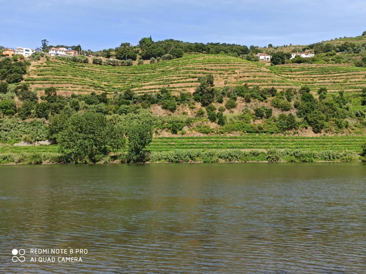Vineyards Valley House Penajoia Exteriér fotografie