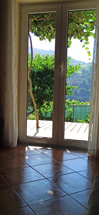 Vineyards Valley House Penajoia Exteriér fotografie