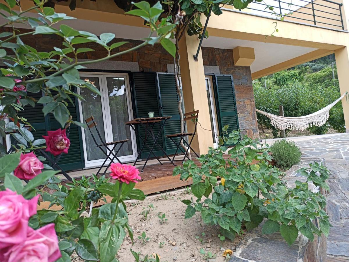 Vineyards Valley House Penajoia Exteriér fotografie